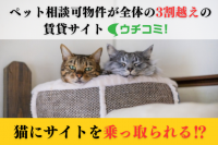 ペット相談可物件が全体の3割越えの賃貸サイト「ウチコミ！」　“猫の日”の認知を広げるための企画を実施