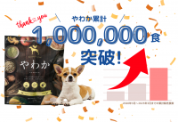 「博多華味鳥」が手掛けるドッグフード『やわか』が2023年3月に販売累計100万食突破