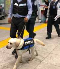 鉄道駅における「危険物探知犬」を活用した警備の実施
