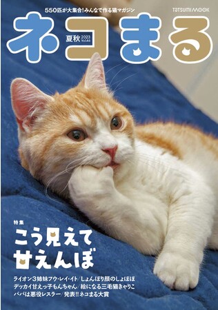 甘えんぼ猫大集合！ 『ネコまる』2023 夏秋号 Vol.46が5月18日に発売