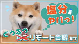 ねこリモート会議♯7「塩分とりすぎ!?おうちでチェックにゃ!」篇 ねこリモート会議♯7「塩分とりすぎ!?おうちでチェックにゃ!」篇