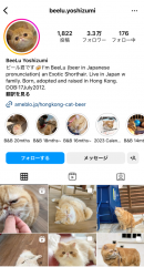 ビール君 Instagram ビール君 Instagram