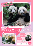 シャオレイ写真展ポスター シャオレイ写真展ポスター