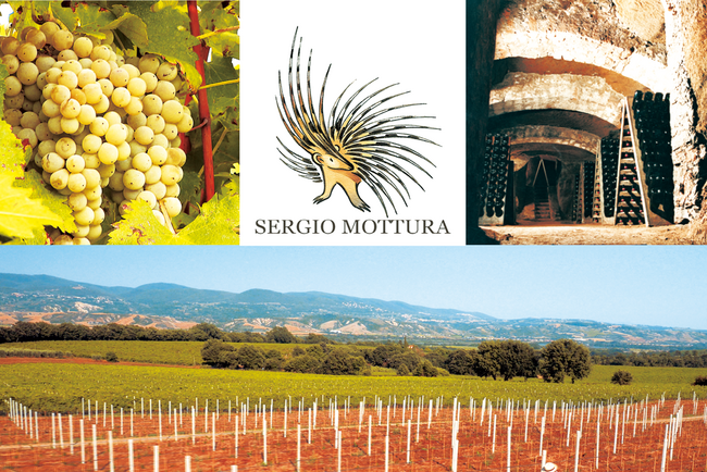 イタリア、ラツィオのSergio Mottura（セルジオ・モットゥーラ）正規代理店販売を6月2日（金）開始
