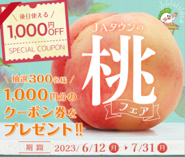 JAタウン 食べごろ桃特集 JAタウン 食べごろ桃特集