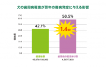 アース製薬と大阪大学、アニコムが共同研究を開始　ペットの歯周病予防、口腔内環境改善から健康寿命延伸へ
