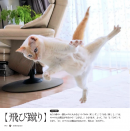 『ねこ謎』サンプル2 『ねこ謎』サンプル2