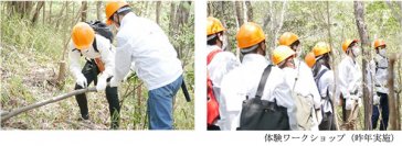 「企業の森づくり活動への取組に関する協定」を7月3日に締結します兵庫県神戸市内にある「キーナの森」の一部を「阪急阪神不動産の森」と名付け、森林保全活動を実施します