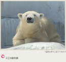 地点情報一例（天王寺動物園）