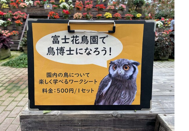 富士花鳥園（朝霧高原）の夏休み　君も鳥博士（とりはかせ）になろう！アゲイン