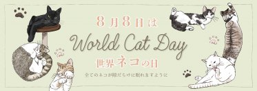 「ものづくりで保護ネコ支援 アオネコaoneco」7月29日(土)～8月8日(火)の期間限定で世界猫の日応援キャンペーンを開催