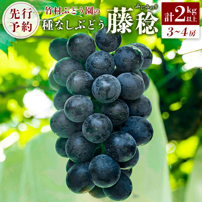 ぶどう農家40年の結晶！最大級の種なし巨峰「藤稔(ふじみのり)」が宮崎県新富町ふるさと納税返礼品として先行予約スタート
