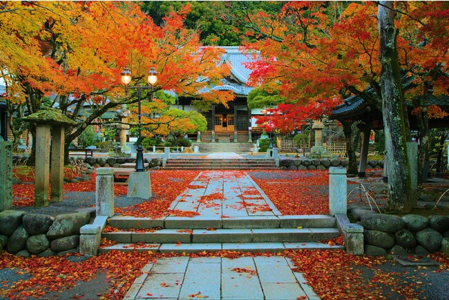 【温泉ライナー修善寺】２０２３年９月1日（金）より２０２３年１２月３１日（日）まで片道大人２,０００円(往復３,４００円）でバスターミナル東京八重洲～修善寺温泉までの高速バスの運行を開始します。