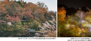 ROKKO森の音ミュージアムSIKIガーデンAutumnSeason10月中旬～11月中旬は紅葉見頃、ライトアップも実施2023年10月1日（日）～11月23日（木・祝）