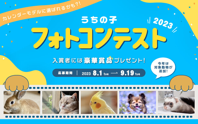 アイペット「うちの子フォトコンテスト2023」投稿キャンペーン開始