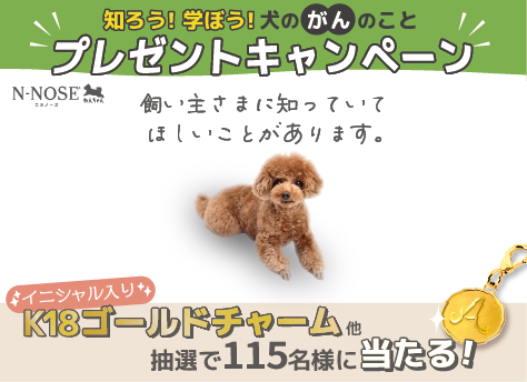 N-NOSE(R) わんちゃん「知ろう！学ぼう！犬のがんのことキャンペーン」開始