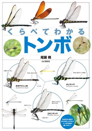 日本のトンボがくらべてわかる！ わかって楽しい、見て楽しいトンボ図鑑「くらべてわかるトンボ」刊行
