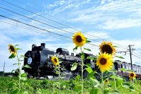 秩父鉄道「SLパレオエクスプレス運行35周年」＆熊谷駅～三峰口駅間往復3000回達成記念で記念入場券やグッズ販売