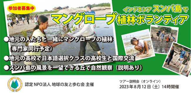 8/12(土)14時～オンラインにて【海外でマングローブ植林ボランティア！】なんで植林するの？～スンバ島の森を復活させる植林支援～ツアー相談＆活動説明会を実施します