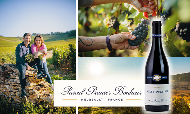 ブルゴーニュ Pascal Prunier Bonheur（パスカル・プルニエ・ボヌール）正規代理店販売を8月4日（金）開始