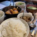 定食には野菜もたっぷり 定食には野菜もたっぷり