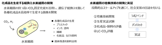 「水素細菌によるCO2とH2を原料とする革新的なものづくり技術の開発」を開始-NEDOグリーンイノベーション基金事業で技術開発とオープンイノベーションを加速-