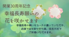 ヘルシーBOX立石薬店は、開業30周年を記念して「幸福長寿願いの花を咲かせます」企画を行います。