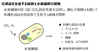 「水素細菌によるCO2とH2を原料とする革新的なものづくり技術の開発」を開始