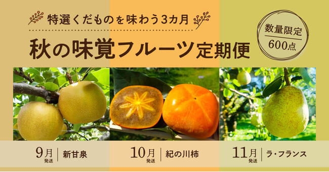 ポケットマルシェが、3ヶ月連続で秋の果物を楽しむサブスクサービス「秋の味覚フルーツ定期便」を立ち上げ