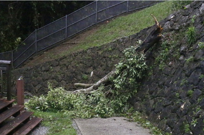 トラストバンク、ふるさとチョイス災害支援で台風6号で被災した沖縄県北中城村のふるさと納税の寄付受け付けを開始