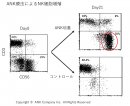 【免疫細胞の培養法別FCM分類】 【免疫細胞の培養法別FCM分類】