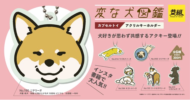 【2023年11月発売予定】全愛犬家に捧ぐ！うちのワンコの変な生態がキーホルダーになっちゃいました!?︎「変な犬図鑑 アクリルキーホルダー」受注受付開始！