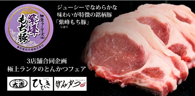 【日本の生産者応援！とんかつひびき５周年特別編】マットソングループ３店舗合同企画！８月８日（火）～10日（木）期間限定、銘柄豚「紫峰もち豚」極上ランクのとんかつ・生姜焼きが数量限定で登場！
