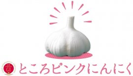 ところピンクにんにく ところピンクにんにく
