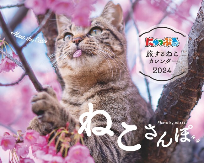 インスタで大人気のねこ写真家「mittsu」さんが撮影を担当！『にゃっぷる 旅するねこカレンダー2024 卓上版』9／8発売