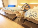 オリジナル愛犬用ベッドまではスロープもあり安心の設計