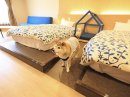 オリジナル愛犬用ベッドまではスロープもあり安心の設計 オリジナル愛犬用ベッドまではスロープもあり安心の設計