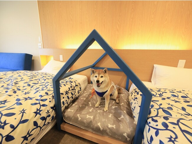 西伊豆の愛犬と泊まれる温泉旅館に2023年8月新客室が誕生！愛犬用ベッド完備の「ドッグフレンドリールーム」お試しプラン販売開始