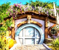 ウクライナの小学校始業式にて、日本の華道家と料理人が五感に訴求する「花のチカラ」と「美味しい」体験を届ける祝宴を開催