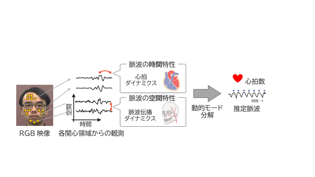 顔の映像から非接触・高精度で心拍数を推定する手法を開発