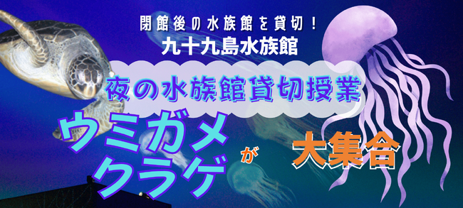 全国の子ども達に贈る「夏休み特別授業」を開催「九十九島水族館海きらら」と「長井市古代の丘資料館」による特別オンライン授業の募集開始