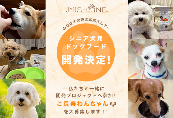 ミシュワンシニア犬用フード開発プロジェクト発足にあたりモニター犬を募集！