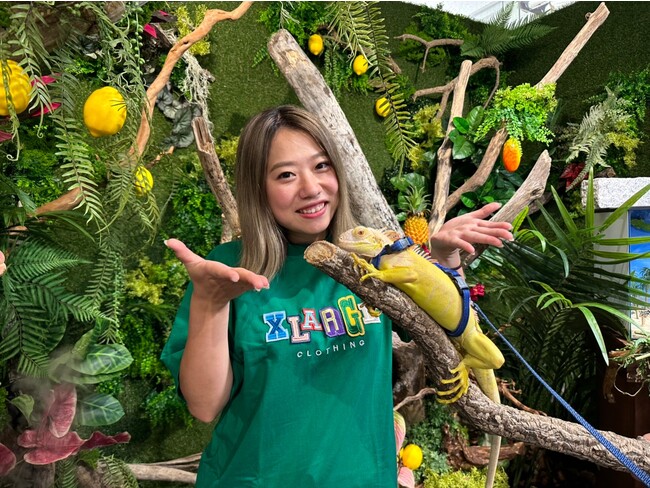 黄金のイグアナとチェキ会ができる「恐竜たちの夏休み」が奈良いきものミュージアムで開催！他にも 夏を感じる水槽のレイアウト変更や ジャングルをイメージしたフォトスポットも登場！