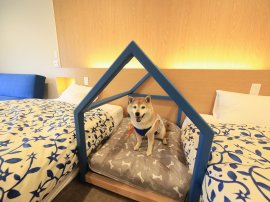 新客室・ドッグフレンドリールーム 新客室・ドッグフレンドリールーム