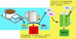 バイオガスのCO2を微生物で除去し、バイオガスの改質を目指す　8月24日から開催される「大学見本市2023」で公開