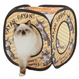 猫のダヤン×猫壱 夢のコラボ第2段 猫のダヤン×猫壱 夢のコラボ第2段