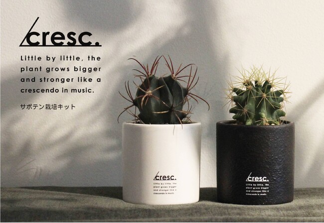 植物を「育てるインテリア」として成長を楽しむ。インテリアグリーンブランド『cresc.／クレッシェンド』が新登場！種をまいてあなただけの植物を育てませんか？