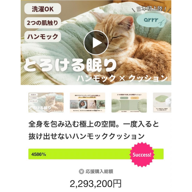 24時間で4586%達成! 韓国東遠グループのペット用品部門の”arrr”が好スタート