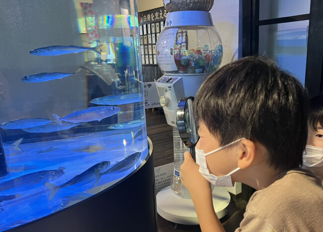 おふろcafe 白寿の湯、大好評の夏休みの宿題お助け企画「おさかな自由研究教室」を開催します
