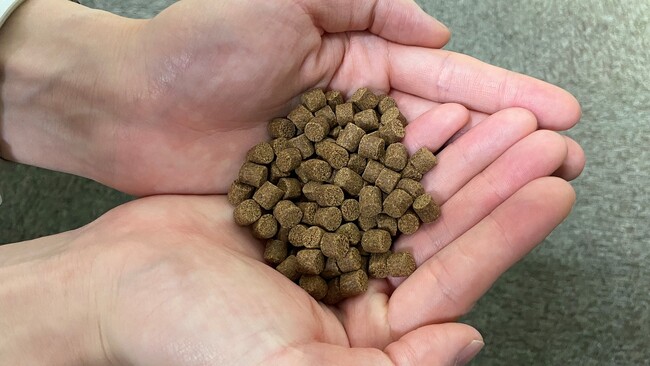 大日本印刷と愛媛大学　養殖魚のエサとなる昆虫の自動飼育装置の開発を開始